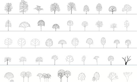 011 Vegetation Cad Blocks Deciduous Trees Elevation 3dshopfree