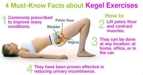 discover magic how to do kegel exercises for women [infographics] kegel exercise kegel