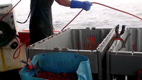 Lobster Fishing In Nova Scotia Youtube