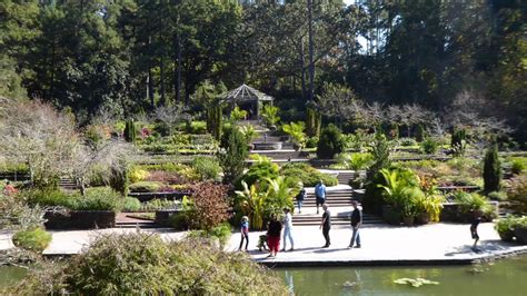 The garden should be fun and fascinating, not a chore to be dreaded and avoided. Sarah P Duke Gardens, Durham, NC in the Fall - YouTube