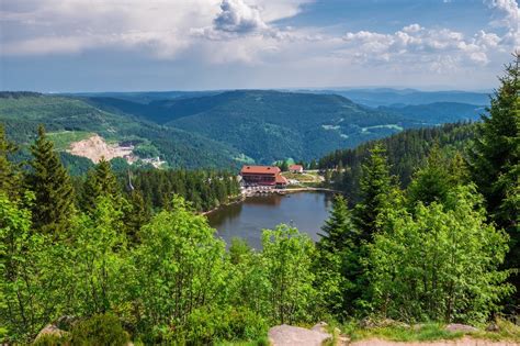 Black Forest National Park Nationalpark Schwarzwald