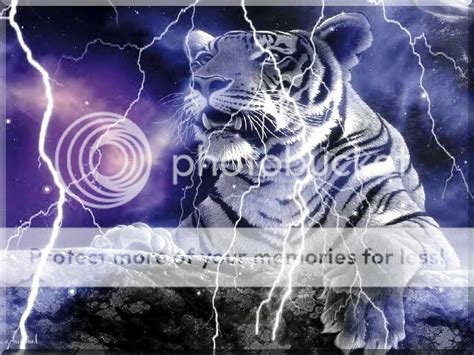 Lightning Tiger Photo By Polarcat69 Photobucket