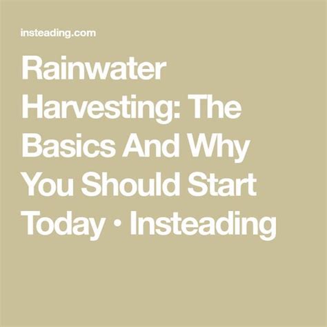 Rainwater Harvesting The Basics And Why You Should Start Today
