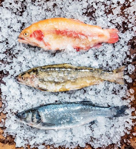 Fresh Fish In Ice Cubes — Stock Photo © Shebeko 100949140