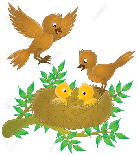 Baby Birds Clipart Free Images At Vector Clip Art Online