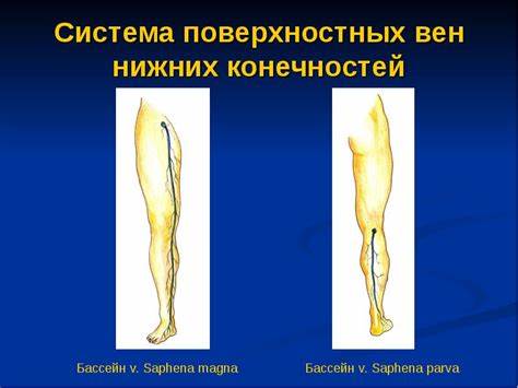 Диета для тромбоза глубоких вен Реферат На Тему Осложнения Тромбоза Глубоких Вен Нижних Конечностей Реферат На Тему Осложнения Тромбоза Глубоких Вен Нижних Конечностей Диета для тромбоза глубоких вен