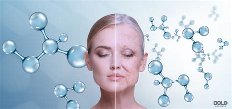 Anti Aging Startups Leading The Longevity Research Revolution