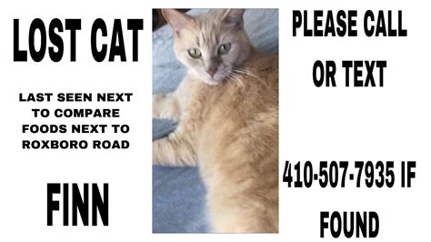Priority for me compared with a lot of other things in my life. Please help me find my Cat Finn, call or text 410-507-7935 ...