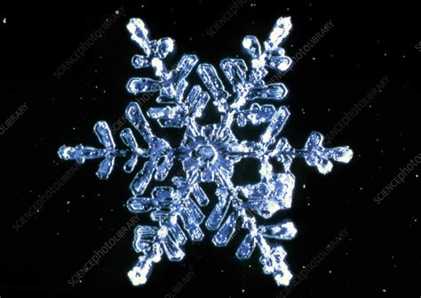 Macrophoto Of Snow Crystal Stock Image E1270083 Science Photo