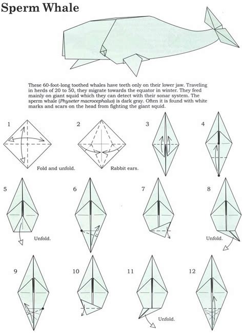 Welcome To Dover Publications Origami Design Diy Origami Origami And
