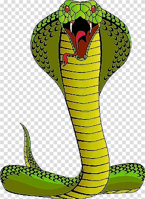 King Cobra Snake Clip Art Png 746x932px King Cobra Art Cobra