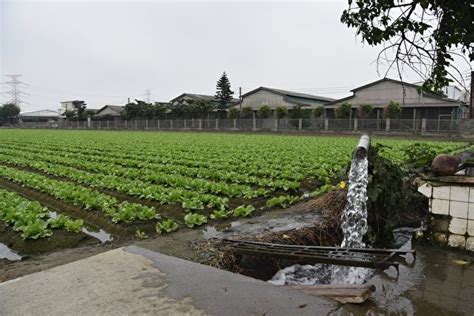 短短 4 天內，確診個案數從每天十幾二十人，一口氣增加到 15 日的 180 人確診，國內陷入前所未有的疫情緊繃，行政院長蘇貞昌以及衛福部長陳時中在今天. 加速輔導水井納管 雲林停徵水井規費 | 大紀元