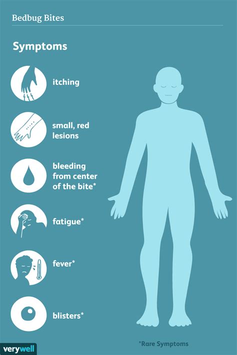 Signs And Symptoms Of Bedbug Bites