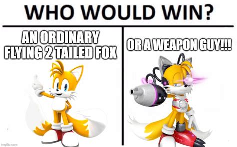 Who Would Win An Ordinary Flying 2 Tailed Fox Or The Weapon Guy