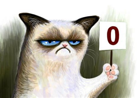 Cat Funny Grumpy Humor Meme Quote Hd Wallpaper Wallpaperbetter