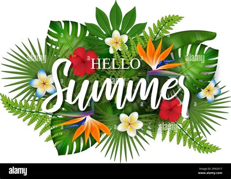 Hello Summer Background With Tropical Flowers And Leaves Stock Vector