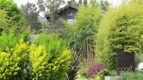 Maybe you would like to learn more about one of these? Beautiful lush bamboo and greenery surround the Coast ...