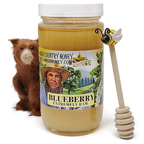 Goshen Honey Amish Extremely Raw Blueberry Blossom Honey Natural
