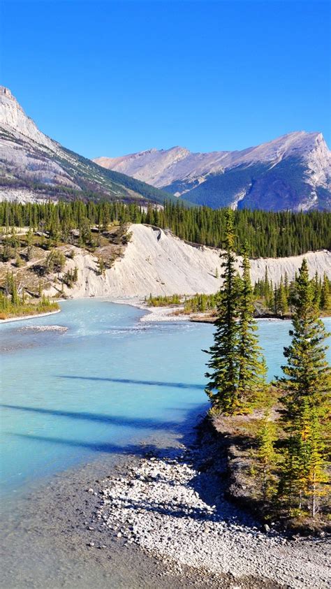 班夫国家公园，弓河，山脉，树木，加拿大 750x1334 Iphone 8766s 壁纸，图片，背景，照片