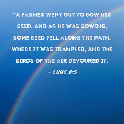 Luke 85 A Farmer Went Out To Sow His Seed And As He Was Sowing Some