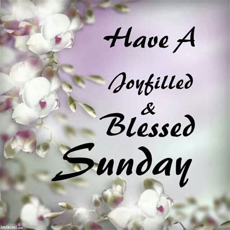 In this guide, we've shared over 200 sunday morning blessings quotes, pictures, fantasies, and greetings which you can use to boost yours and the day of others.inspiration is something which makes people smile even while going through the difficult times. Have a Blessed Sunday | Day/Sunday | Pinterest | Beautiful ...
