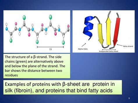 Ppt Biochemistry I Bioca2301 Powerpoint Presentation Free Download