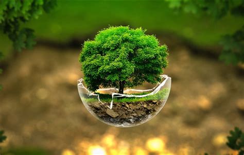 Save The Environment Become A Green Entrepreneur Ied
