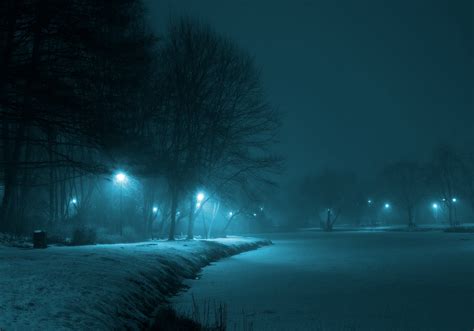 무료 이미지 나무 눈 안개 화이트 햇빛 아침 분위기 어두운 못 공원 날씨 회색 어둠 겨울 왕국