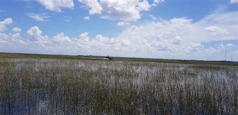 Everglades River Of Grass Adventures Ochopee 2020 All You Need To