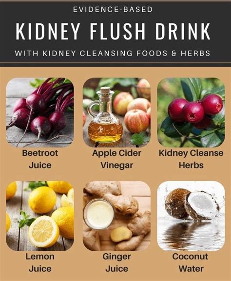 Cleansing Foods And Herbs For Kidney Kidney Healthy Foods Food For