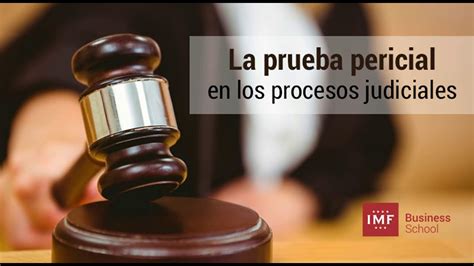 11 Procedimiento Juicio Ordinario Civil Prueba Pericial Youtube