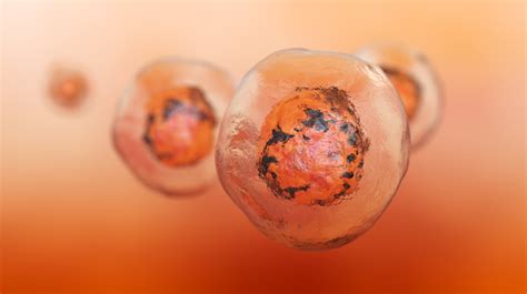 Stem Cell Stock Photo Download Image Now Istock