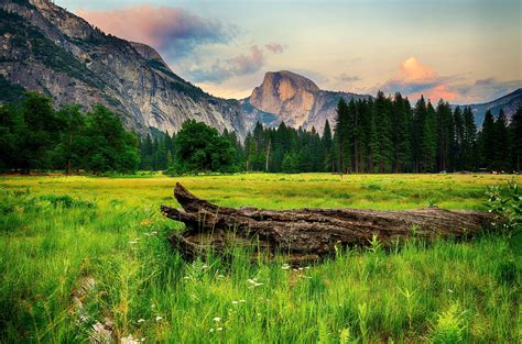 Usa Parks Mountains Forests Scenery Yosemite Grass Nature