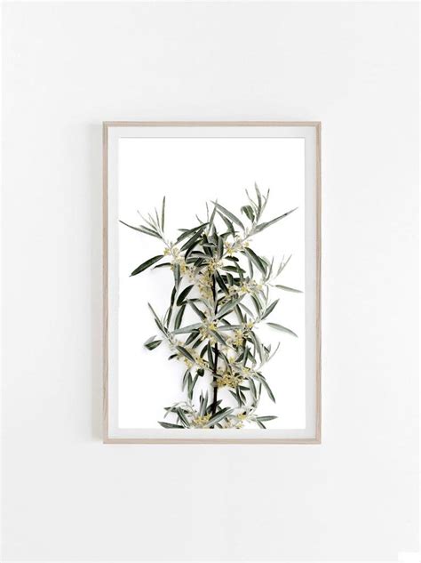 Olive Tree Branch Print Wall Art Download Printable Digital Etsy