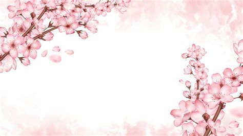 Nature Beautiful Pink Flower Cherry Blossoms Bloom Powerpoint
