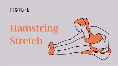 Static Stretches To Totally Enhance Your Workout Routine Lifehack