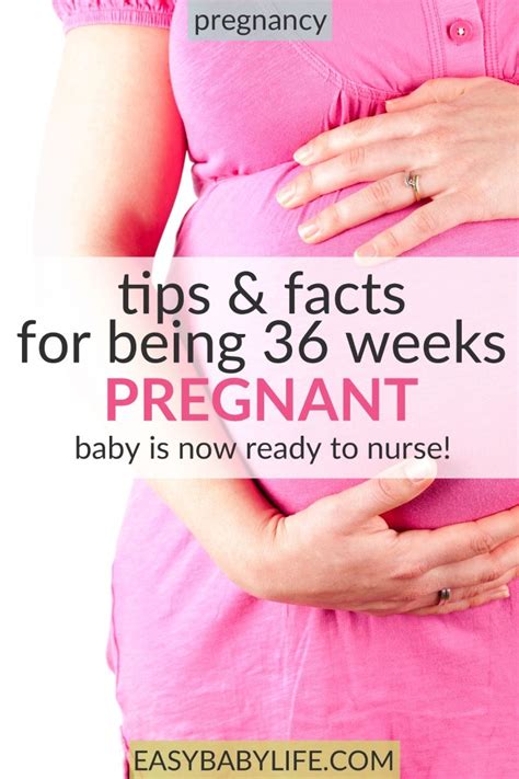 Tips And Facts For Being 36 Weeks Pregnant Baby Is Ready To Nurse