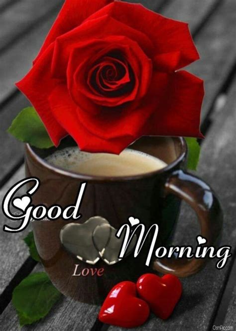 Good Morning Messages With Rose Flower Wisdom Good Morning Quotes