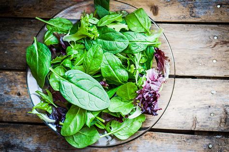 Green Salad Leafy Vegetables Hd Wallpaper Wallpaperbetter