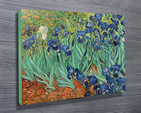 Irises By Van Gogh Canvas Prints Australia