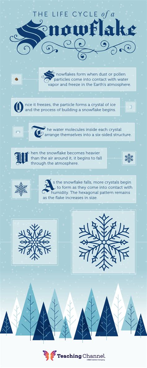 Lesson Plan Inspiration The Life Cycle Of A Snowflake Teaching Channel