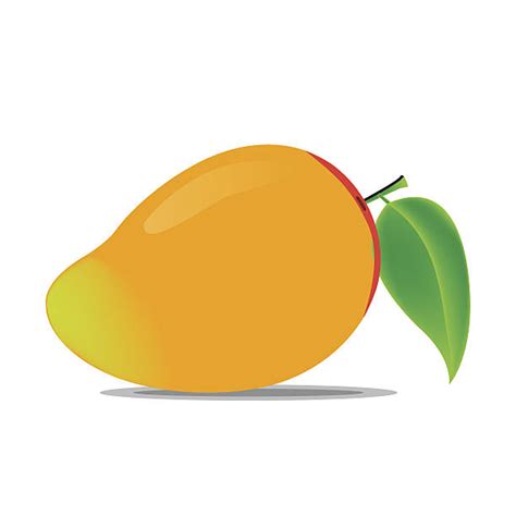 Check spelling or type a new query. Mango clipart 3 » Clipart Station