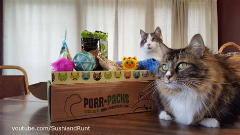 For every meowbox you buy, the company gives a can of food (or monetary equivalent) to a. Purr-Packs Unboxing - March Cat Subscription Box Review ...