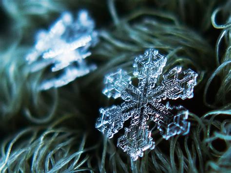 Dont Miss These Incredible Macro Photos Of Snowflakes