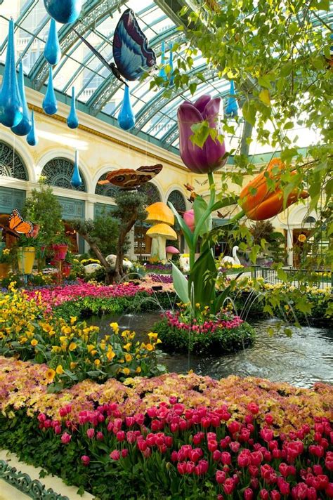 Photos The Bellagio Conservatory Botanical Gardens Celebrate Spring