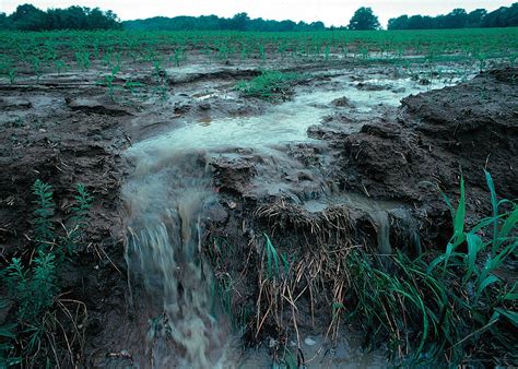 Maybe you would like to learn more about one of these? Topsoil - Wikipedia