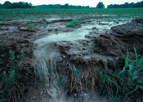 Toxic substances from farms, towns, and factories. Nutrient pollution - Wikipedia