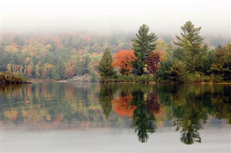 Wooden Dock On Autumn Lake Stock Image Image Of Forest 10262771