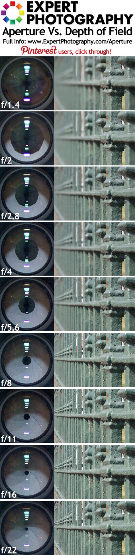 Aperture Vs Depth Of Field Visual Guide Expert Photography