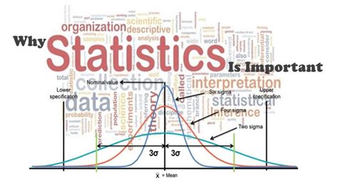 Why Statistics Is Important
